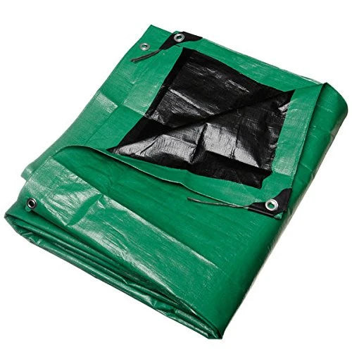 Tarp GRN/BLK 10 Mil 20'x30'