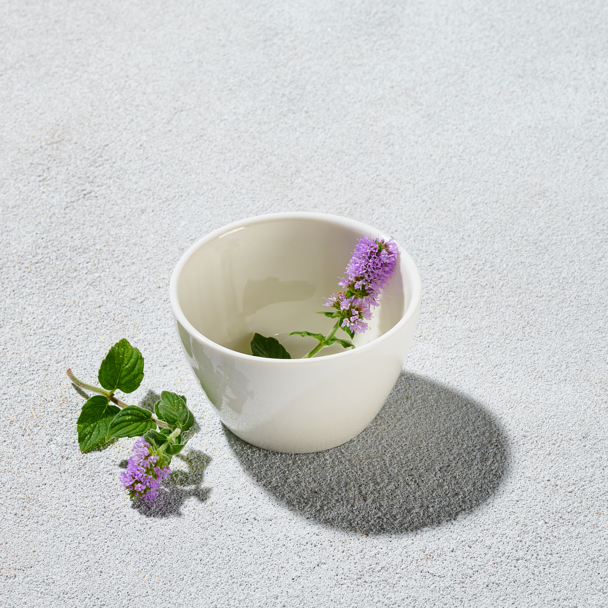 Dip Dish_mini 2.75oz  Bowl _WH