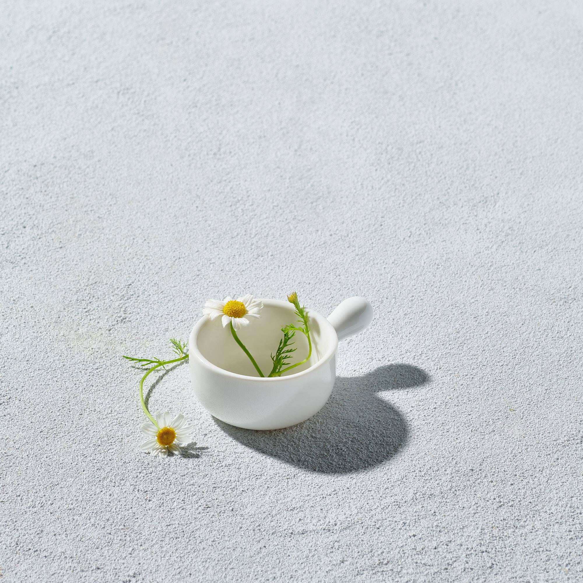 Dip Dish_mini Handle Bowl_WHT