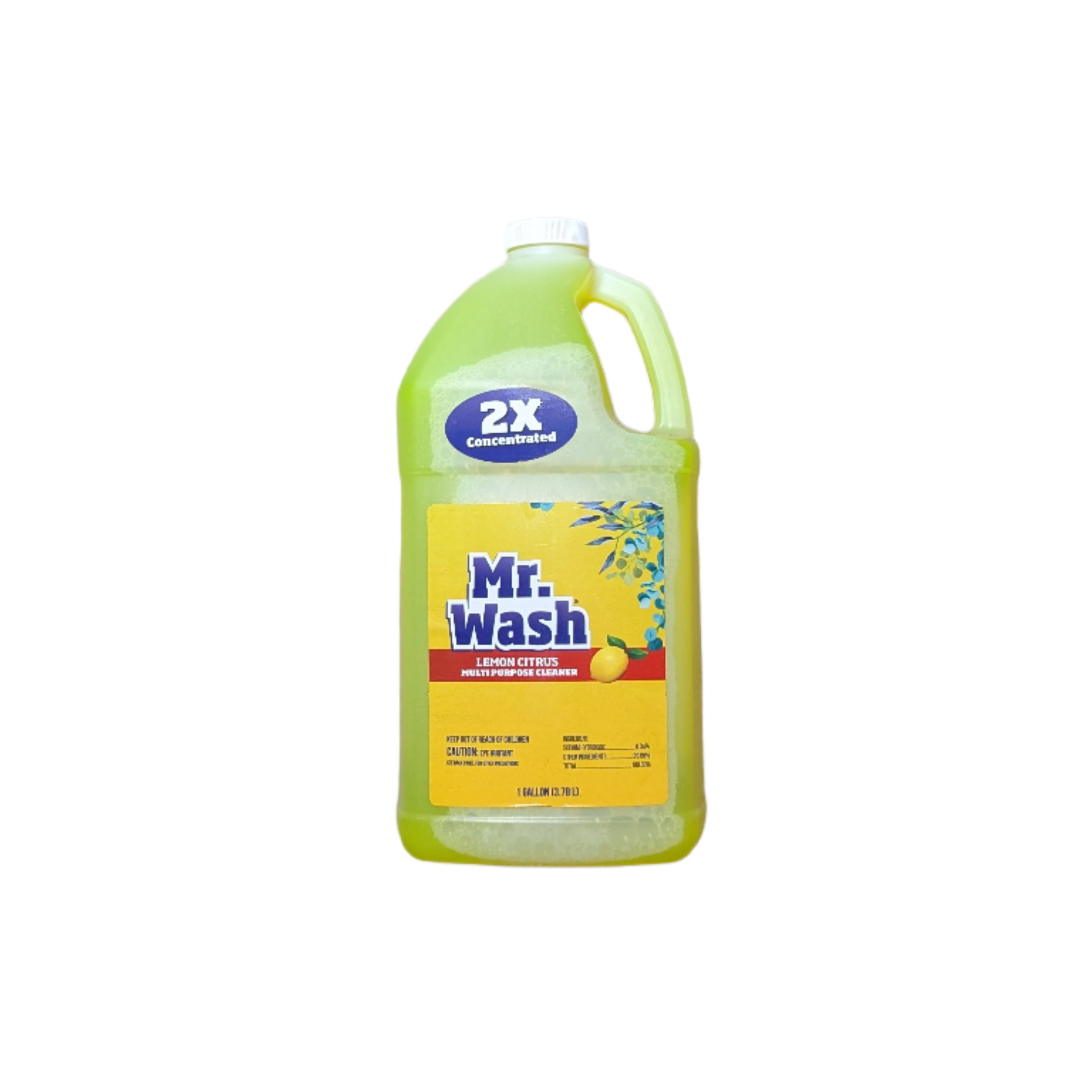 Mr  WASH 1-Gal Summer Citrus